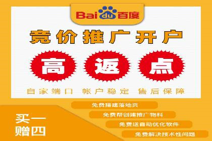 sem竞价托管代运营——广告优化的典范案例